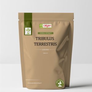 Pure Gokhru (Tribulus Terrestris) Extract – Standardized Saponins (40% - 90%)