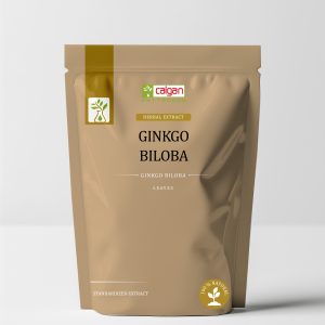 Ginkgo Biloba Leaf Extract – Flavonoid Glycosides & Terpene Lactones (22% - 27%)