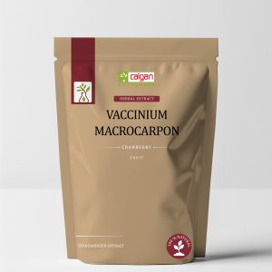 Pure Cranberry (Vaccinium Macrocarpon) Extract – Proanthocyanidins & Anthocyanins (2.5% - 25%)